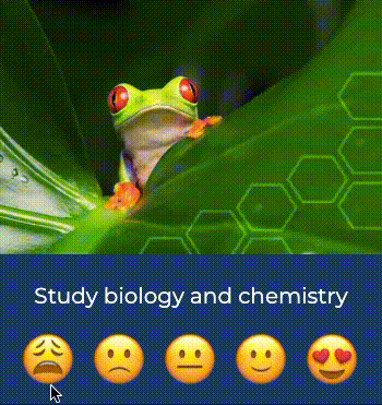 Animation of answering a question in the career-interest survey.